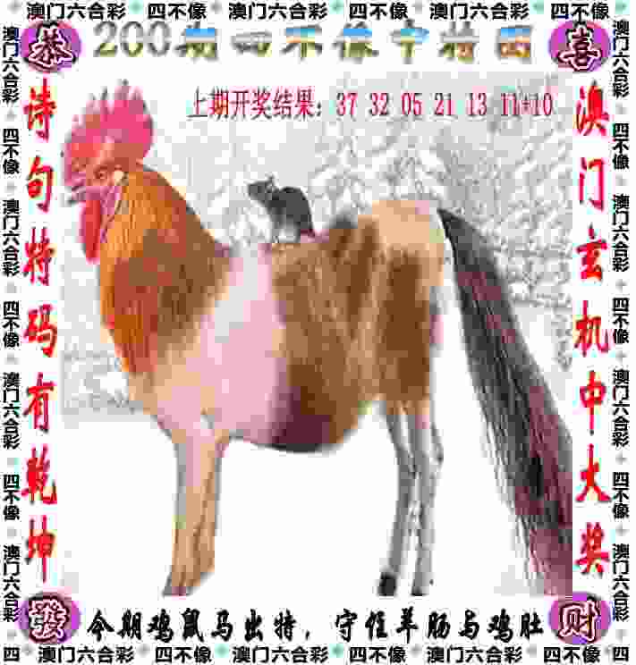 7777788888管家婆凤凰网完整版下载安装-77777888管家婆四肖四码2023手游最新版下载v6   .56   .567   -2278安卓网